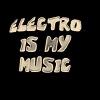 ElectroSoundSystem
